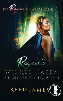 Rogue's Wicked Harem Read online