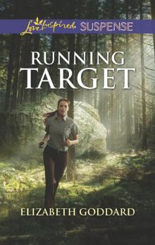 Running Target Read online