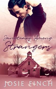 Sanctuary Among Strangers Read online