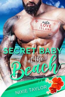 Secret Baby at the Beach Read online
