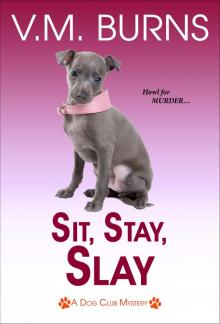 Sit, Stay, Slay Read online