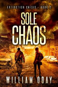 Sole Chaos Read online