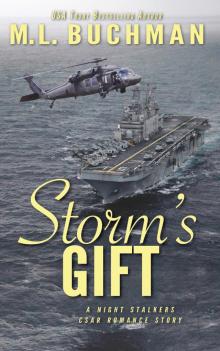 Storm's Gift Read online