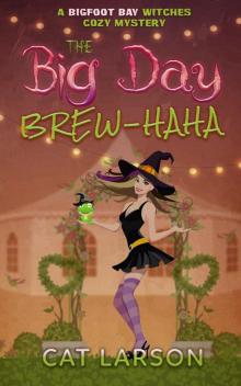 The Big Day Brew-HaHa Read online
