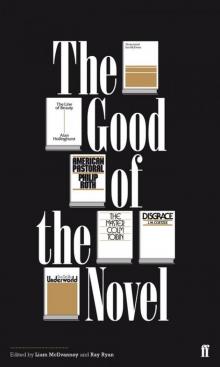 The Good of the Novel Read online
