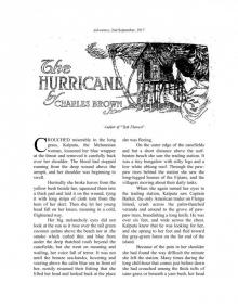The Hurricane by Charles Brown, Jr Read online