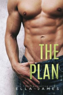The Plan: A Standalone Off-Limits Romance Read online