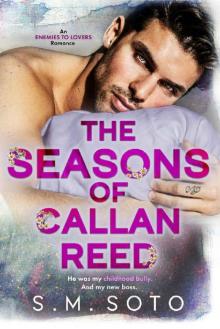 The Seasons of Callan Reed: An Enemies-to-Lovers Office Romance Read online