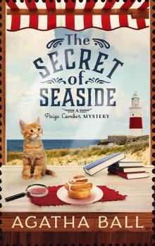 The Secret of Seaside Read online
