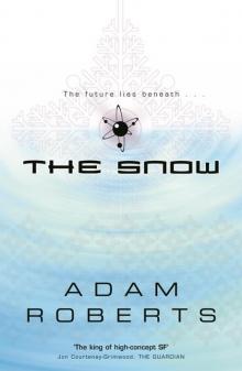 The Snow Read online