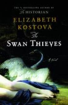 The Swan Thieves Read online