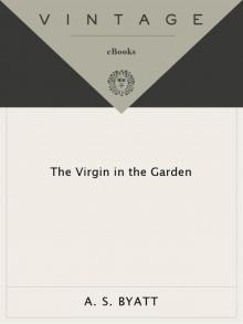 The Virgin in the Garden Read online