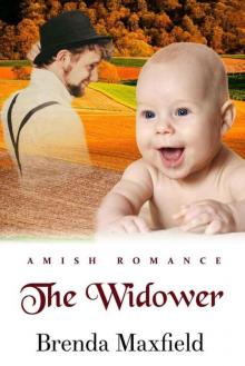 The Widower (Amy's Story Book 3) Read online