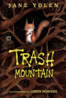 Trash Mountain