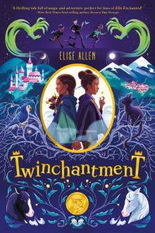 Twinchantment Read online