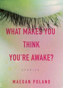 What Makes You Think You're Awake? Read online