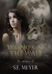 Wolves at the Wall Read online