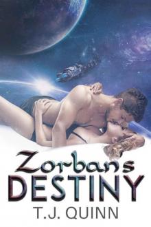 Zorban's Destiny Read online