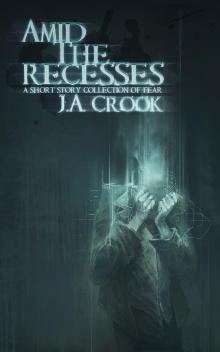 Amid the Recesses: A Short Story Collection of Fear Read online