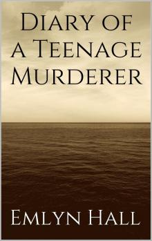 Diary of a Teenage Murderer Read online