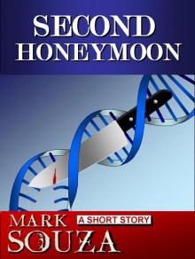 Second Honeymoon Read online