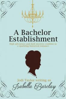 A Bachelor Establishment Read online
