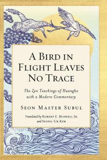 A Bird in Flight Leaves No Trace Read online