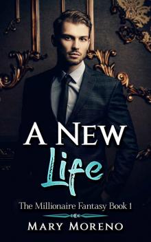 A New Life: The Millionaire Fantasy Book 1