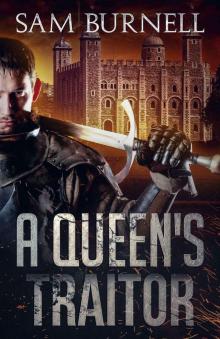 A Queen's Traitor Read online