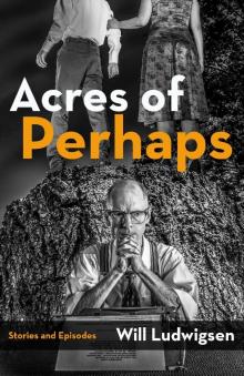 Acres of Perhaps Read online