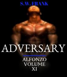 Adversary Read online