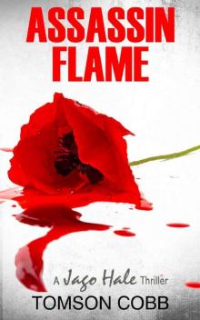 Assassin Flame Read online