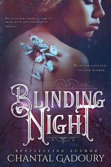 Blinding Night Read online