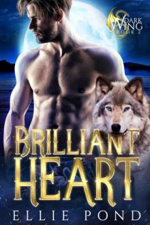 Brilliant Heart (Dark Wing Series Book 2) Read online