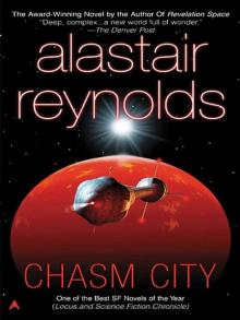 Chasm City Read online