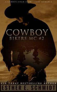 Cowboy Bikers MC #2 Read online
