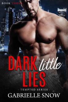 Dark Little Lies Read online