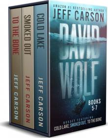 David Wolf series Box Set 2 Read online