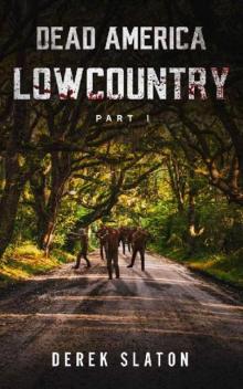 Dead America | Book 1 | Lowcountry [Part 1] Read online