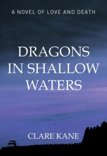 Dragons in Shallow Waters Read online