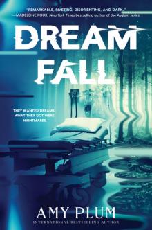 Dreamfall Read online