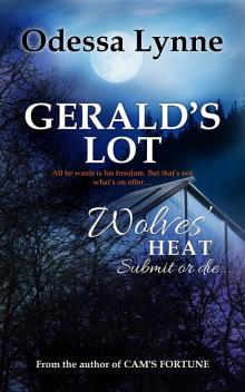 Gerald's Lot Read online