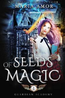 Guardian Academy 1: Seeds Of Magic (The Mystery Of The Four Corners) Read online