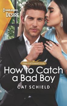 How to Catch a Bad Boy Read online