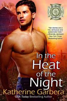 In The Heat 0f The Night (The O'Roarkes Duet Book 2) Read online
