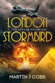 London Stormbird Read online