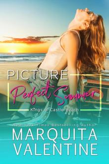 Picture Perfect Summer Read online