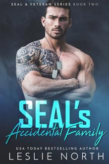 SEAL’s Accidental Family: SEAL & Veteran Series: Book Two Read online