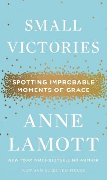 Small Victories: Spotting Improbable Moments of Grace Read online
