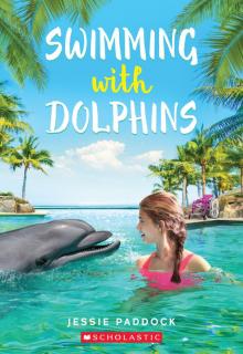 Swimming With Dolphins